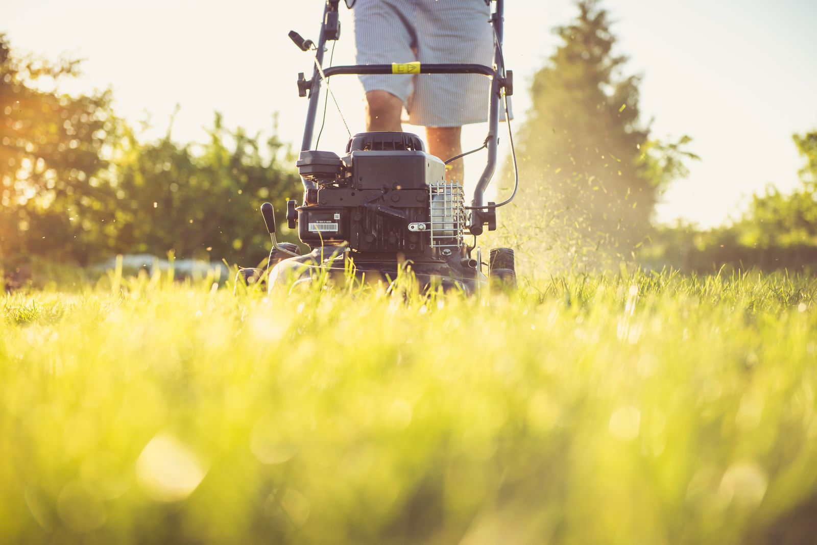 Professional gardener mowing a lawn